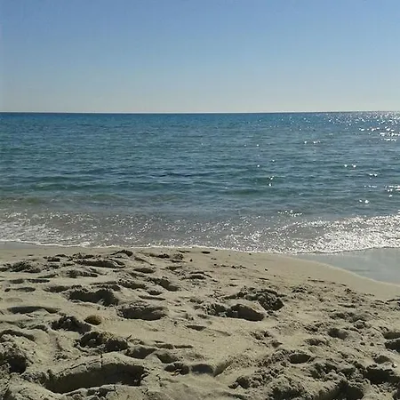 Agrustos *